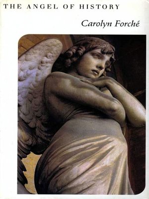 cover image of The Angel of History
